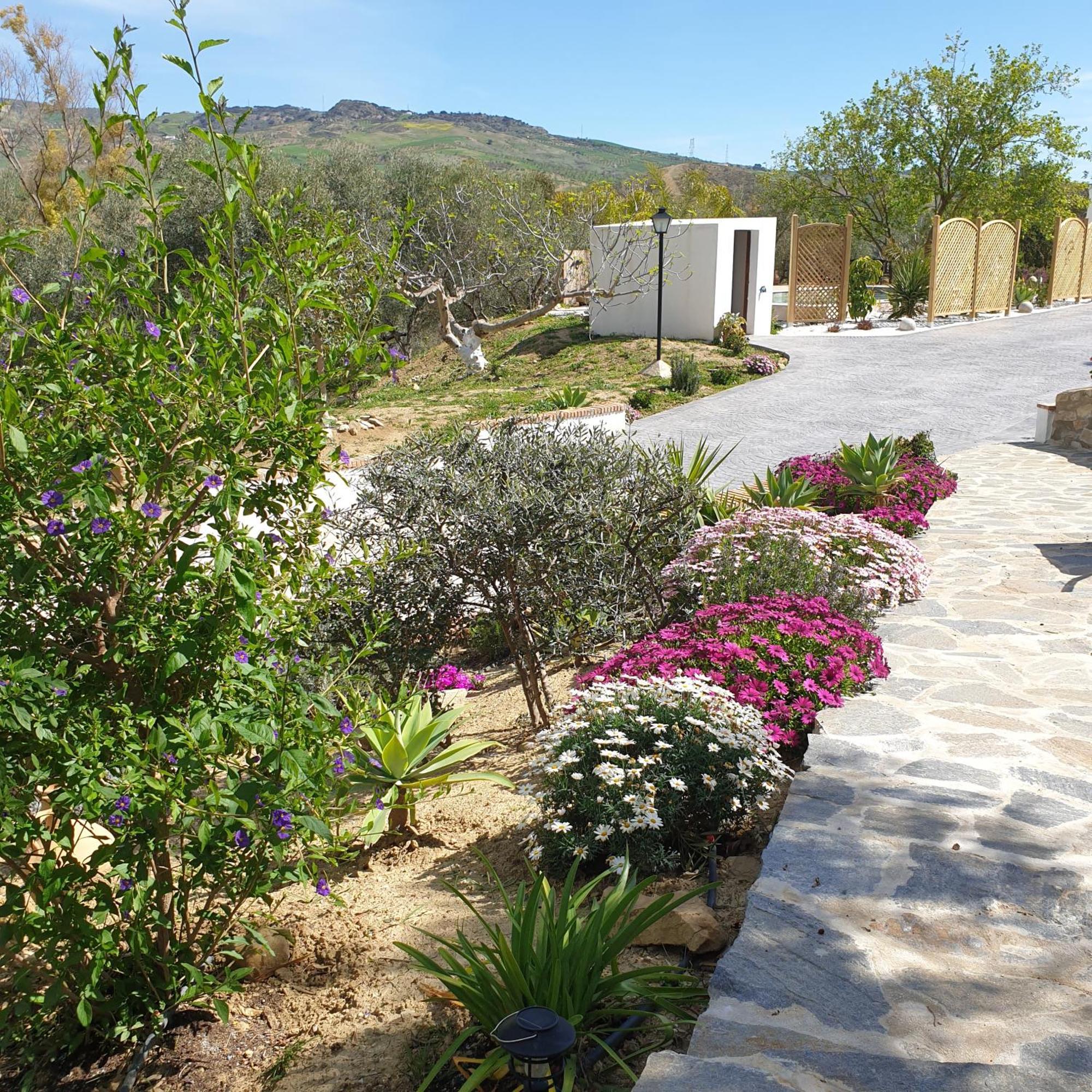Finca Altozano - Private Pool - Unique Client Valle de Abdalagís Exteriör bild