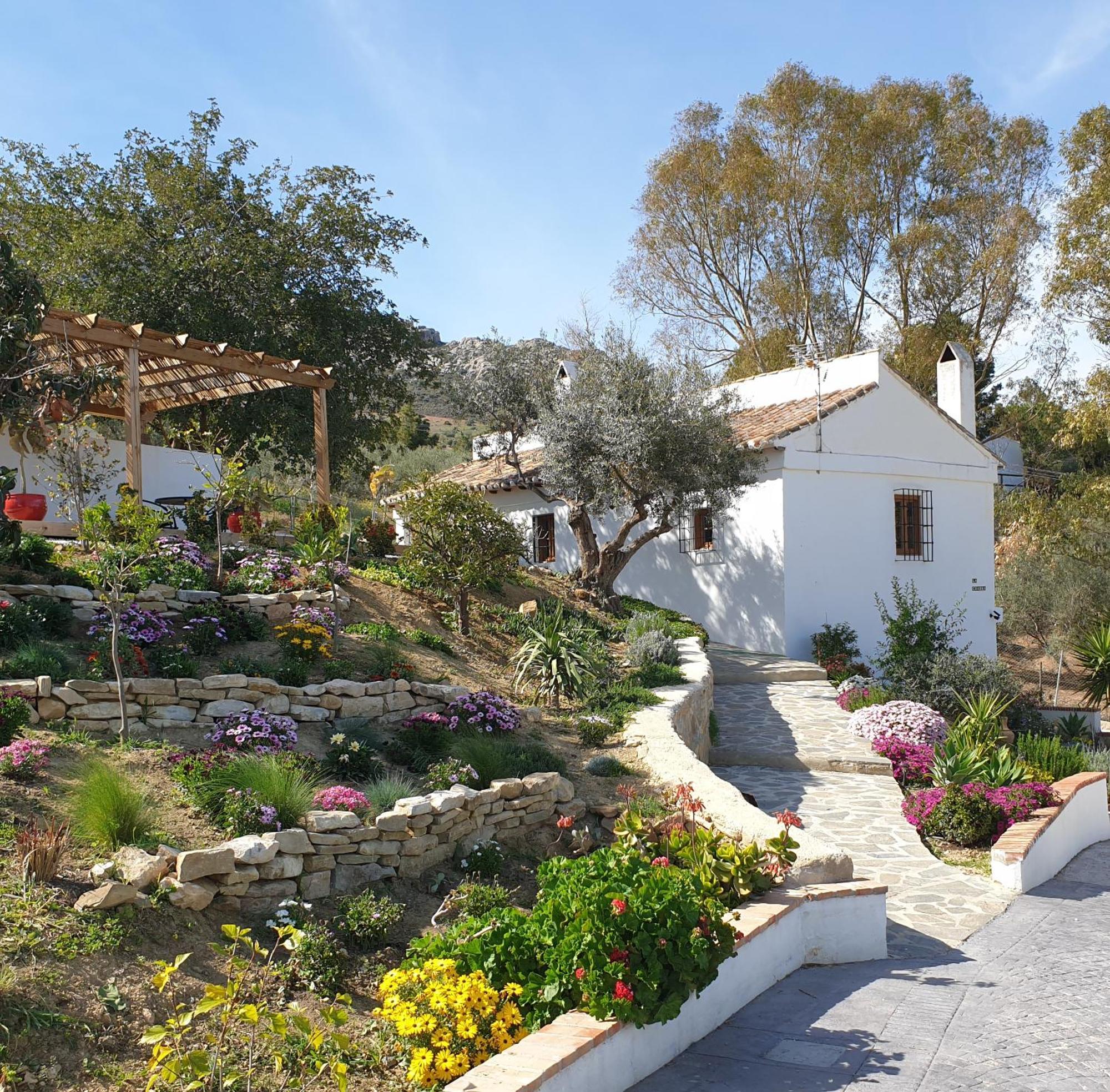 Finca Altozano - Private Pool - Unique Client Valle de Abdalagís Exteriör bild
