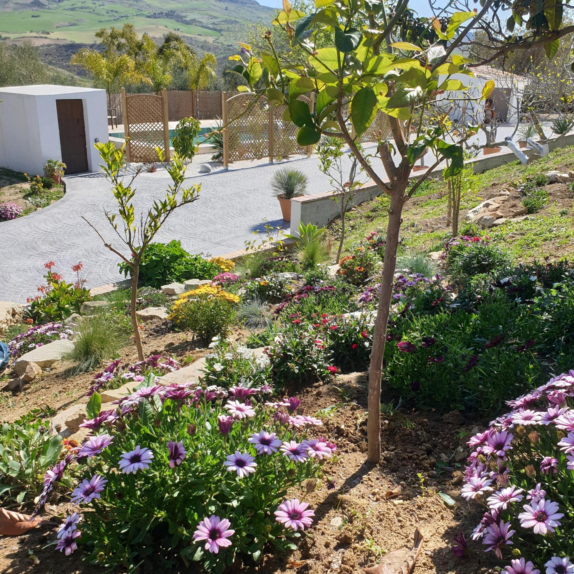 Finca Altozano - Private Pool - Unique Client Valle de Abdalagís Exteriör bild